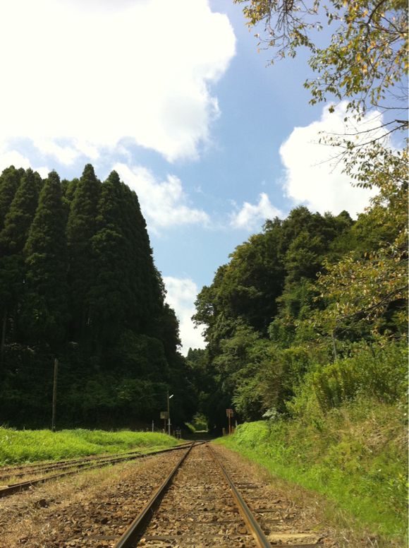 夏の月崎