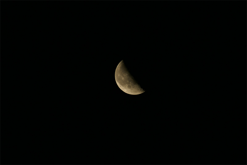 DSC09209